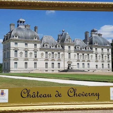 Les Capucines Proche Beauval & Chateaux Saint-Aignan  Exterior photo
