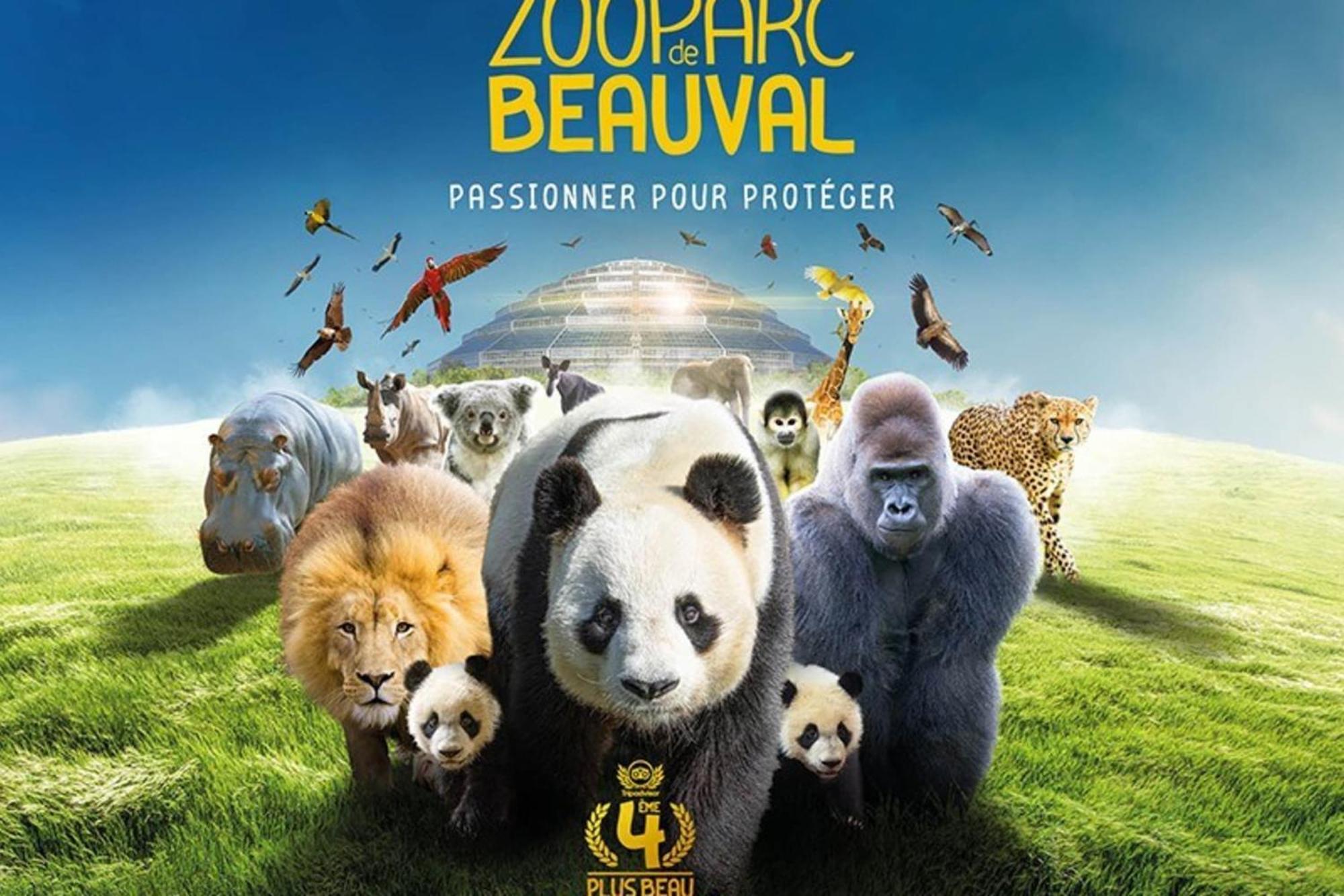 Les Capucines Proche Beauval & Chateaux Saint-Aignan  Exterior photo